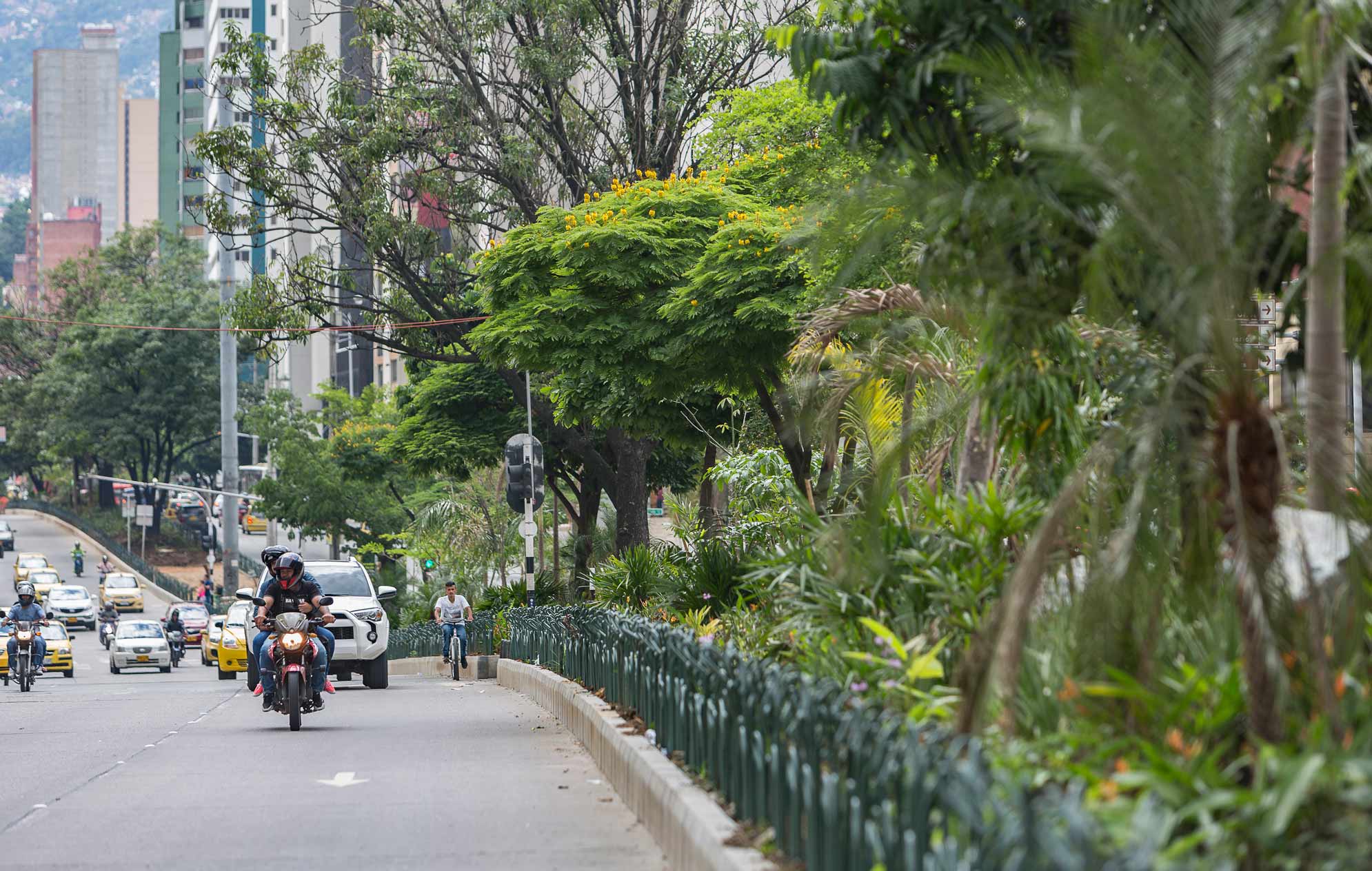 Memorias de una avenida