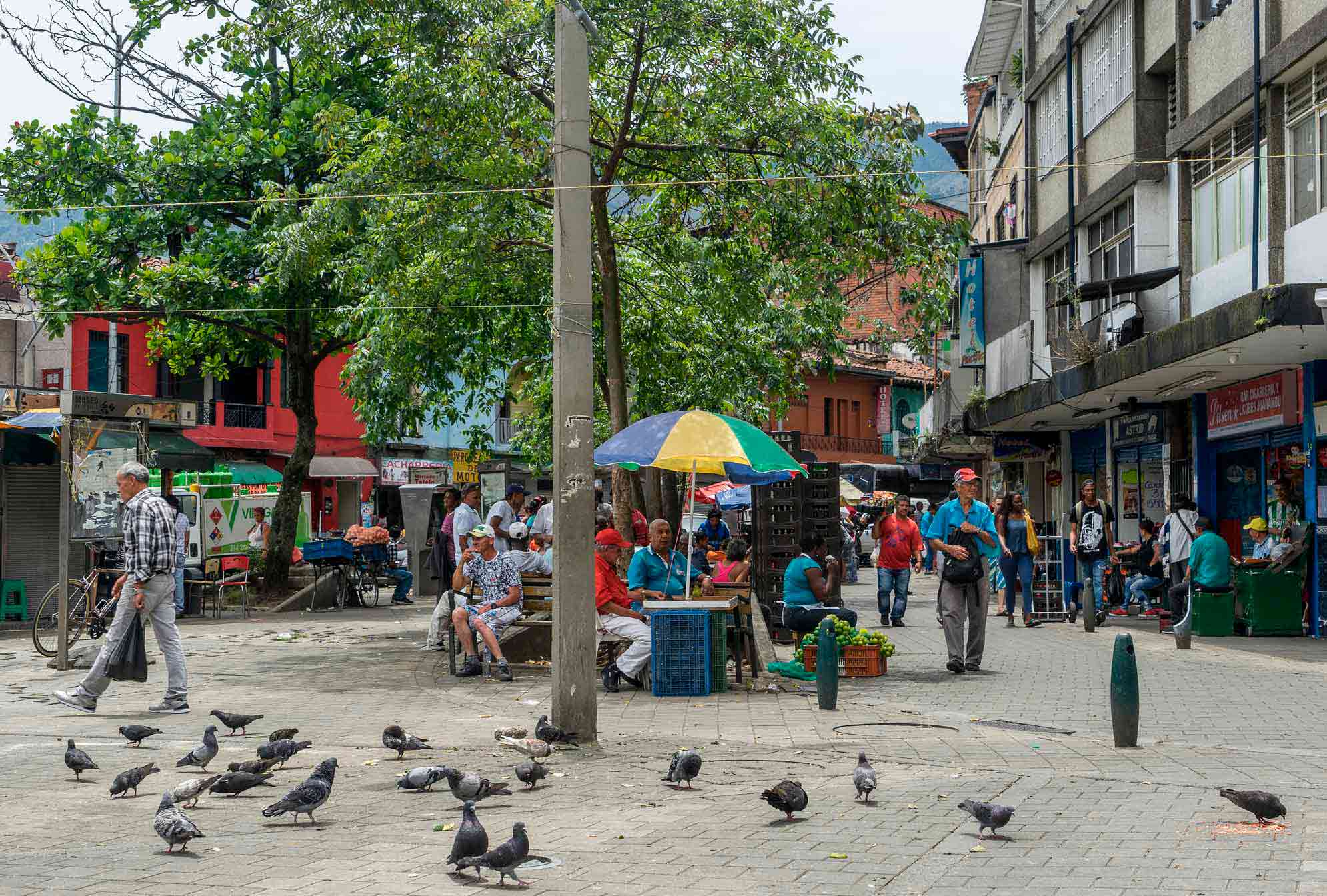 Plazuela Rojas Pinilla - Tejelo