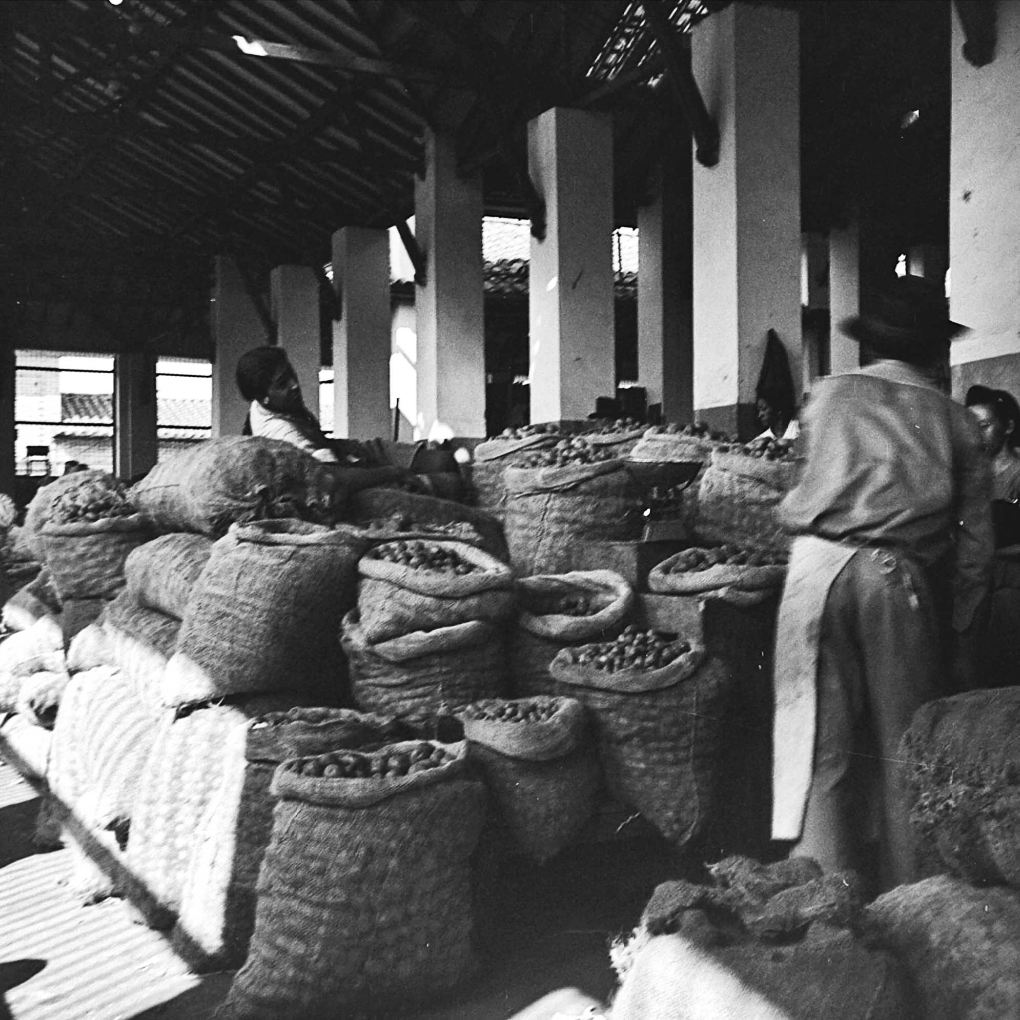 Mis barrios de Medellín