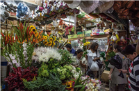 Placita de Flórez Galería Actual