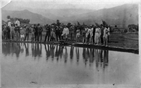 Jardín Botánico Galería Histórica