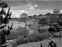 Jardín Botánico Galería Histórica