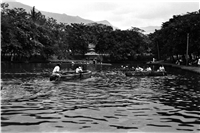 Jardín Botánico Galería Histórica