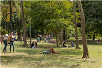 Jardín Botánico Galería Actual