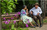 Jardín Botánico Galería Actual