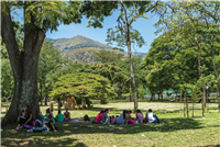 Jardín Botánico Galería Actual