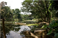 Jardín Botánico Galería Actual