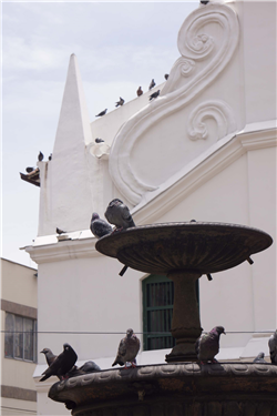 Iglesia de La Veracruz Galería Actual