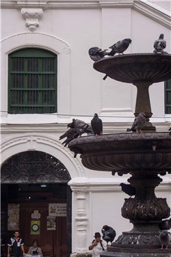 Iglesia de La Veracruz Galería Actual