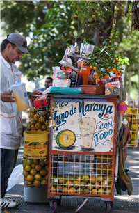 Pan y Parque