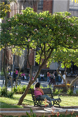 Plaza de las Esculturas Actual