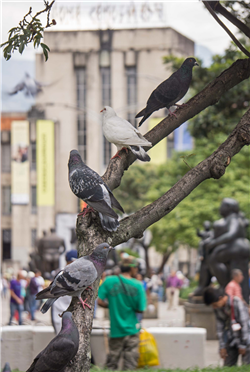 Plaza de las Esculturas Actual