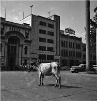 Parque de Berrío Galería Histórica