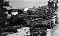 Avenida La Playa Galería Histórica