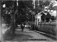 Avenida La Playa Galería Histórica