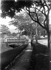 Avenida La Playa Galería Histórica