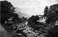 Avenida La Playa Galería Histórica