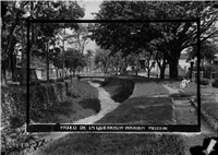 Avenida La Playa Galería Histórica