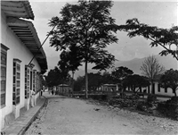 Avenida La Playa Galería Histórica