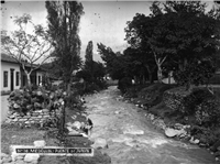 Avenida La Playa Galería Histórica