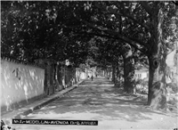 Avenida La Playa Galería Histórica