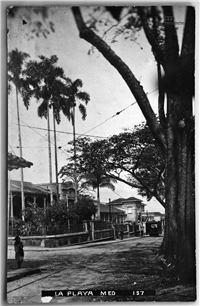 Avenida La Playa Galería Histórica