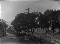 Avenida La Playa Galería Histórica