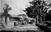 Avenida La Playa Galería Histórica