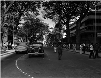 Avenida La Playa Galería Histórica