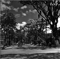 Avenida La Playa Galería Histórica