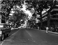 Avenida La Playa Galería Histórica