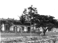 Avenida La Playa Galería Histórica