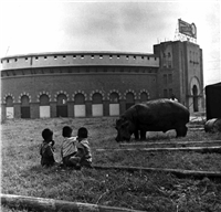 Plaza de Toros La Macarena Galería Histórica