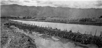 Río Medellin Galería Histórica