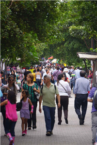 Carrera Carabobo Galería Actual