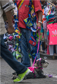 Carrera Carabobo Galería Actual