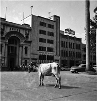 Historia Bancaria de Medellín