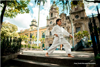 Vida, Centro y Patrimonio