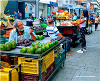 Vida, Centro y Patrimonio