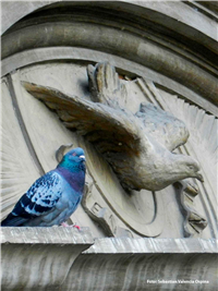 Fotografías Vida, Centro y Patrimonio