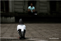 Fotografías Vida, Centro y Patrimonio