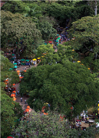 Parque Bolívar Galería Actual