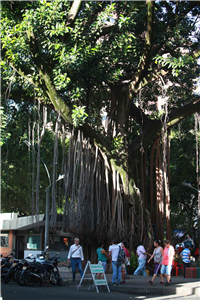 Parque Bolívar Galería Actual