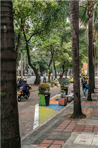 Paseo La Playa Galería Actual