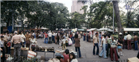 Parque de Bolívar Galería Histórica