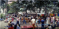 Parque de Bolívar Galería Histórica