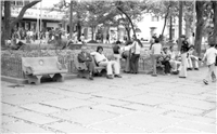 Parque de Bolívar Galería Histórica