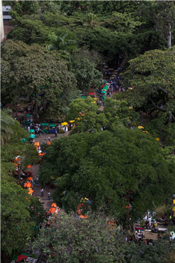 Parque de Bolívar Galería Actual