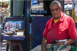 Parque de Bolívar Galería Actual