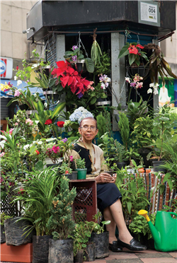 Parque de Bolívar Galería Actual